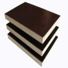 polar/birch plywood film faced plywood