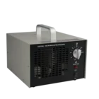 Mini air purifier adjustable O3 ozone machine 7000mg high effient cleaning indoor air