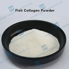 White Powder Fish Collagen Hydrolyzed Fish Collagen Powder