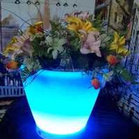 Die27 CM PE Plastic LED Lighted