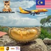 Cheap Air Freight Cargo Shipping to Bangkok, Thailand from Shenzhen Guangzhou ---What's app: 13429815596