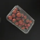 Hot sale Disposable plastic Transparent fruit packaging box for Cherry Tomatoes