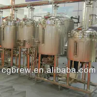 Commercial Service Restaurant Equipment Brewing 300L