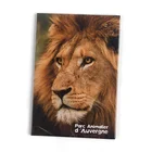 Factory cheap custom art paper printing magnet fridge magnet