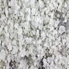 /product-detail/road-salt-exporter-from-india-62016242450.html
