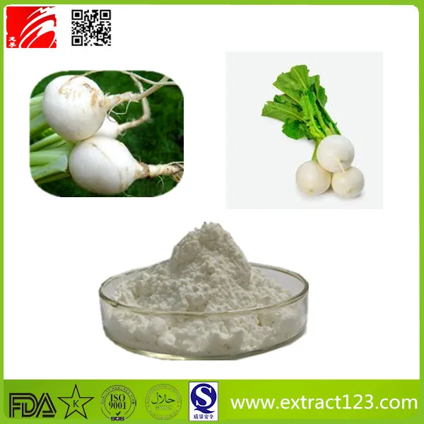 high quality white radish turnip powder