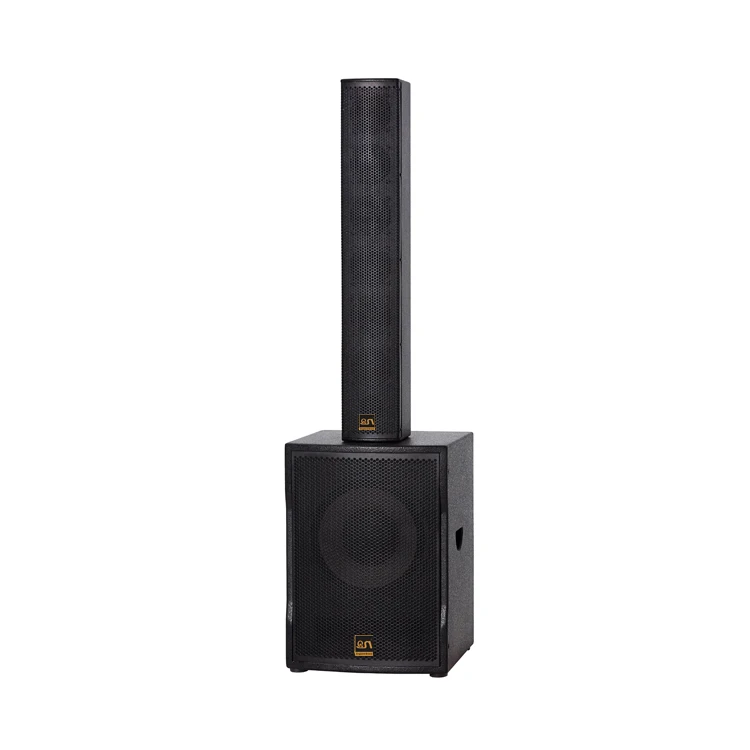 professional audio sound system active+DSP 12 inch subwoofer CV12 - ANKUX.COM