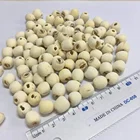 Premium Grade Dried White Lotus Seed Dry