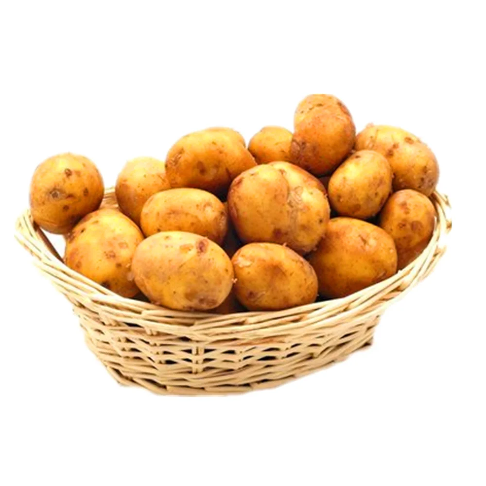 bulk potato export to dubai for