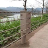 /product-detail/cable-guardrail-system-road-and-bridge-safety-protection-60801600797.html