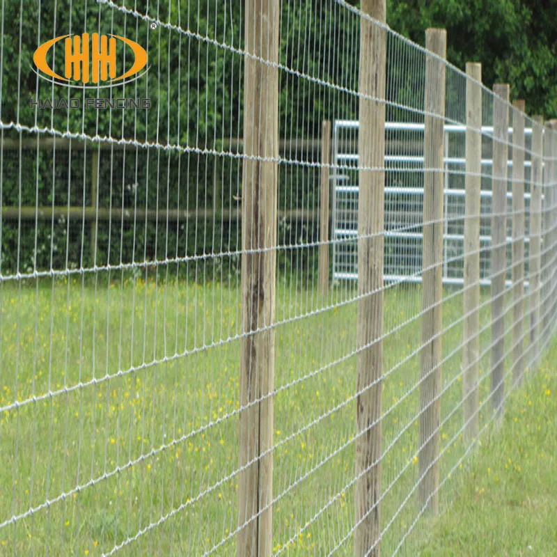 cattle wire fence