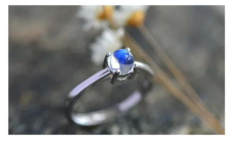 TB2XXmgesjI8KJjSsppXXXbyVXa_!!570536128