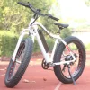 500/750 W MTB e bike Italian stealth bomber frame stealth bomber electric fat bike bicycle 2019
