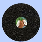 Adsorption Coconut Shell Activated Carbon Of Types