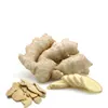 Organic Dried Sliced Ginger / Dry Ginger Slices