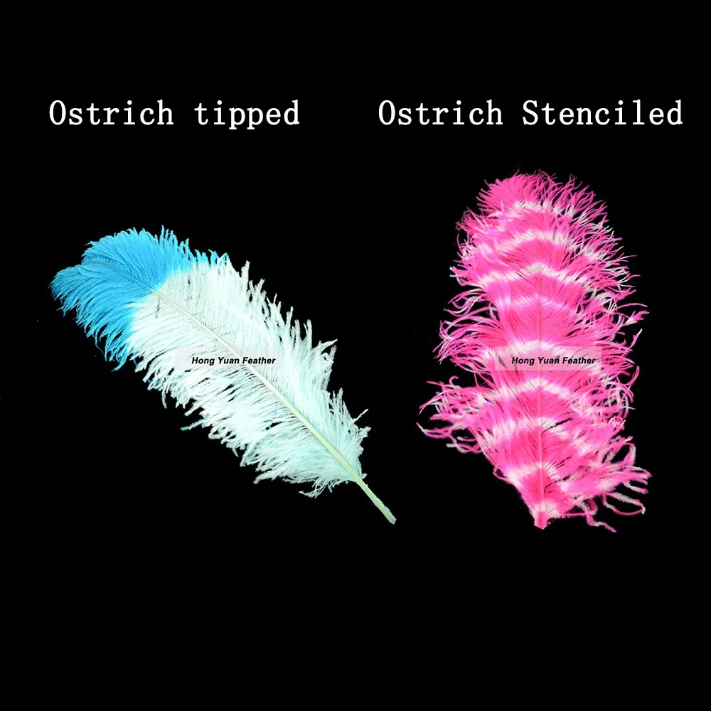 羽毛  different sizes colourful ostrich tipped,ostrich stenciled