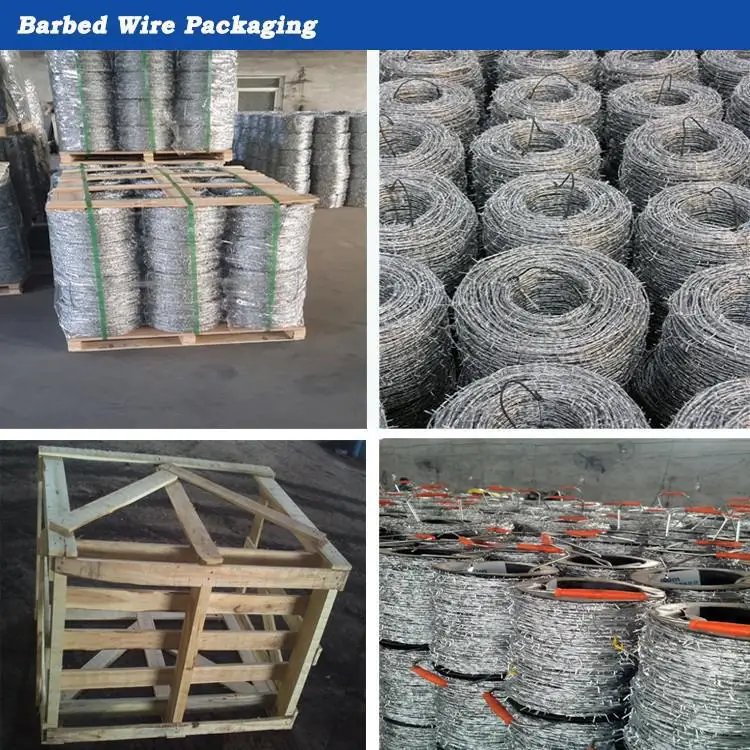 galvanized double twisted barbed wire fence price