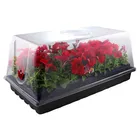 Plant Seedling Starter Nursery Pots Trays Box With Dome