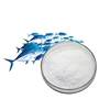 /product-detail/factory-supply-natural-hydrolyzed-tilapia-fish-scale-collagen-with-high-protein-60840622411.html