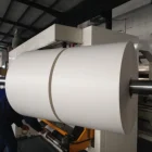 PE Coated Paper for White Sugar Package