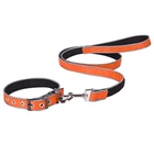 Wholesale Custom Print Logo Dog Collar and Lead with Reflective Strap
