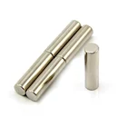 Permanent Custom Neodymium Flexible Fridge Magnet