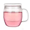 450ml Large Personal Glass Tea Infuser Cup with Glass tea strainer and glass lid