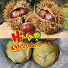 Chinese Nuts Chinese Nuts Organic Chinese Snacks Food HALAL Snacks Nuts KOSHER Snacks Foods