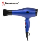 professional hair dryer RM-D15 name brand AC motor blow dryer