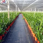 green agriculture nurdery shade net kenya for garden