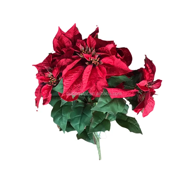 christmas flowers sales