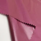20D*20D 400T lightweight two tone nylon taffeta fabric for down jacket