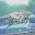 Life size dinosaur skeleton replicas animal skeleton model for sale