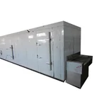 Factory Using Low Price Frozen Fruit & Vegetable Small Blast Tunnel Freezer