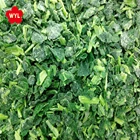 2019 Autumn Crop Frozen IQF Spinach Cuts for soup