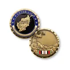 Professional die struck engraved stainless steel gold plated iraq compaign service challenge coins