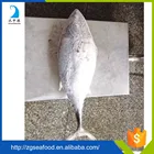 Frozen Seafood Frozen Whole Frozen Pompano Fish