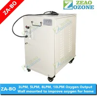 PSA Compact Zeolite Molecular Sieve Oxygen