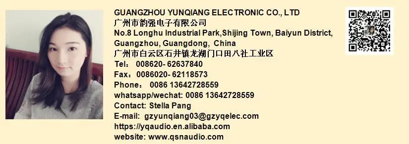 professional audio sound system active+DSP 12 inch subwoofer CV12 - ANKUX.COM