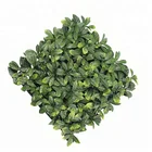 50*50cm Model White Leaf Tree Artificial Plants planter green wall system vertical garden