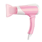 Manufacturers Supply High-Power Electric Hair Dryers For Hair Salons