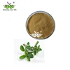 100% Natural plant extract oregano leaves extract (Origanum vulgare extract)