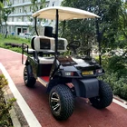 2 Passenger Gasoline Cheap Remote Control Ambulance Pedal Motorized Excar Battery Golf Cart
