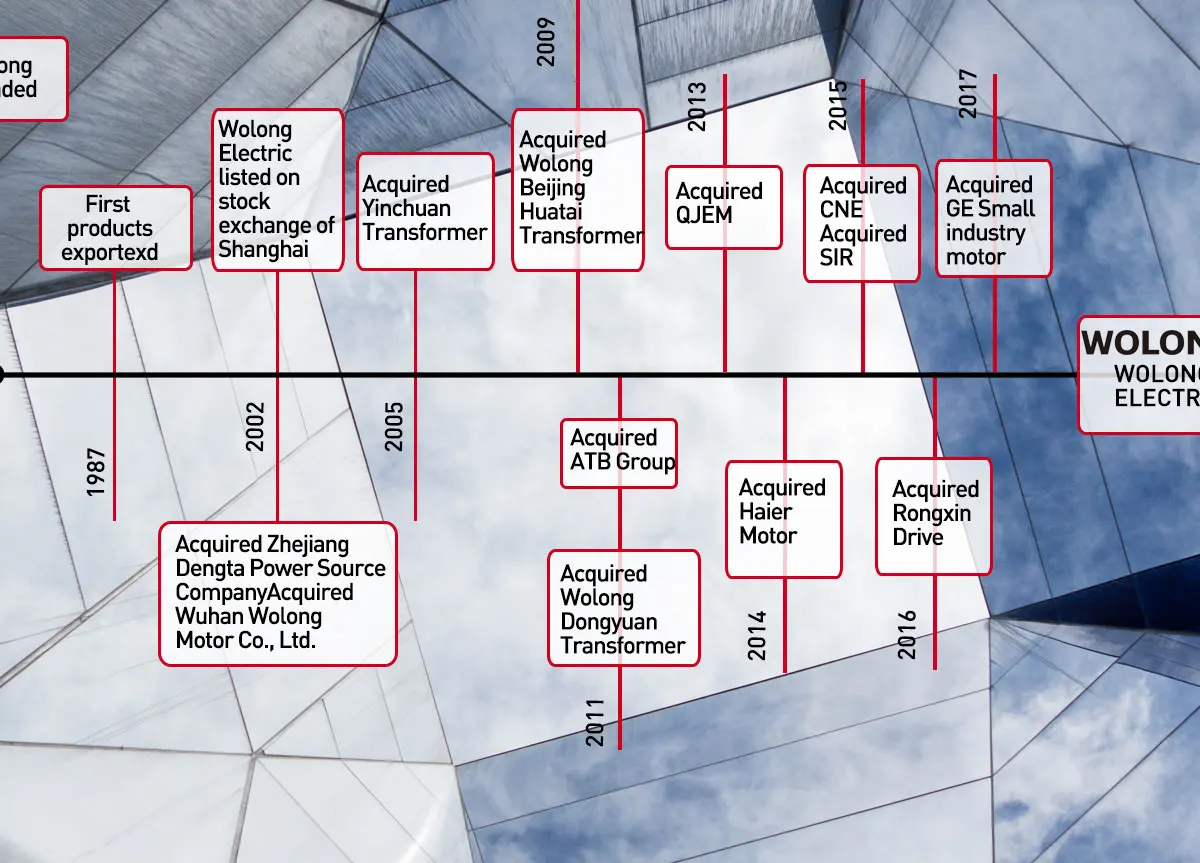 Wolong Electric Group Co., Ltd. Motor