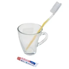 Wholesale Cheapest Price hotel amenities toothbrush set