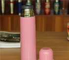 Vacuum Bullet Stainless Steel Flask Thermo Bottles 500ml