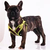 100% polyester mesh reflective Dog Adjustable Reflective Dog Cooling Vest