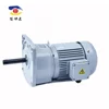 Customized high torque 12v 24v 36v 48v ac gear motor, power 100w 200w 300w