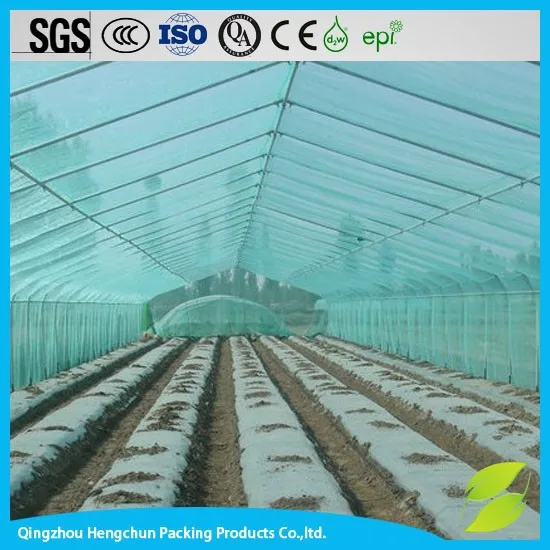 greenhouse film-046.jpg