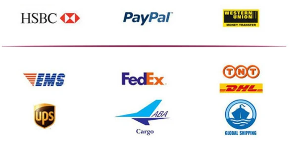 payment  with Express.jpg